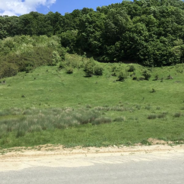 TEREN Extravilan (3.560 mp) la intrarea in cartierul Fagetu, oras Mioveni (pct. Gheorman, Stefanesti), drum asfaltat (DJ741)